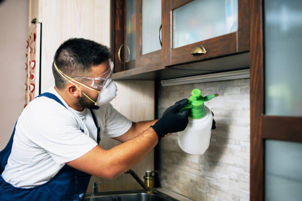 Flea Control Services in Tellico Plains, TN