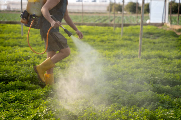 Pest Control for Restaurants in Tellico Plains, TN