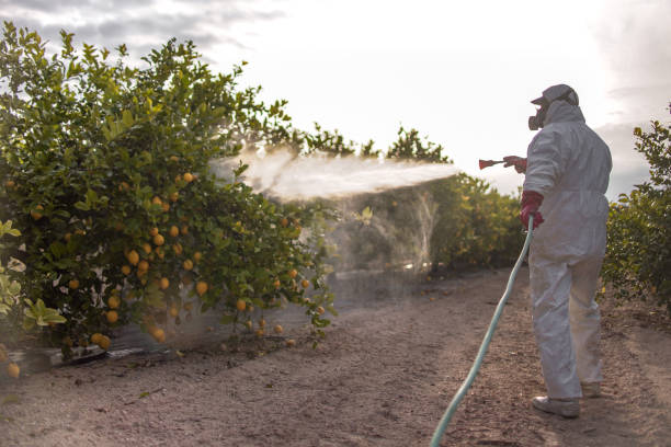 Trusted Tellico Plains, TN Pest Control Experts