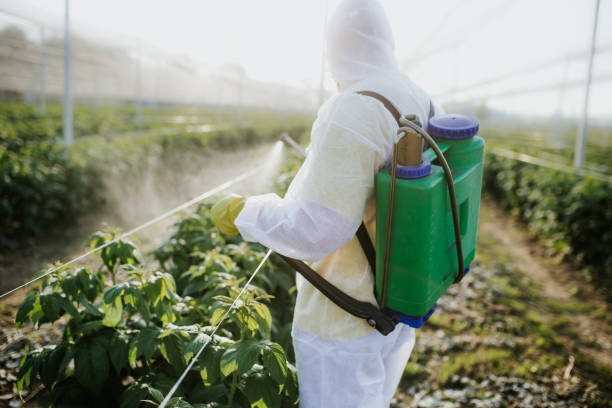Best Emergency Pest Control  in Tellico Plains, TN
